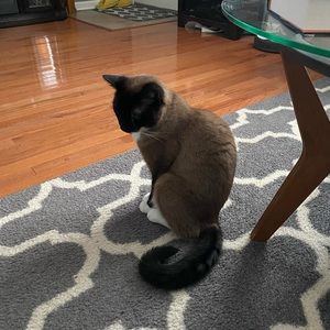 Meet your Posher, Chad